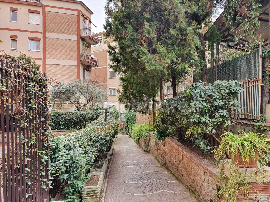 Viale di accesso