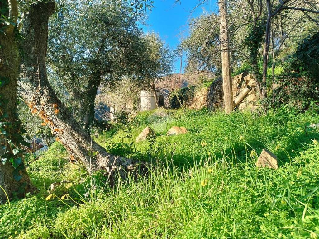 Acqua per terreno casa foto da lontano