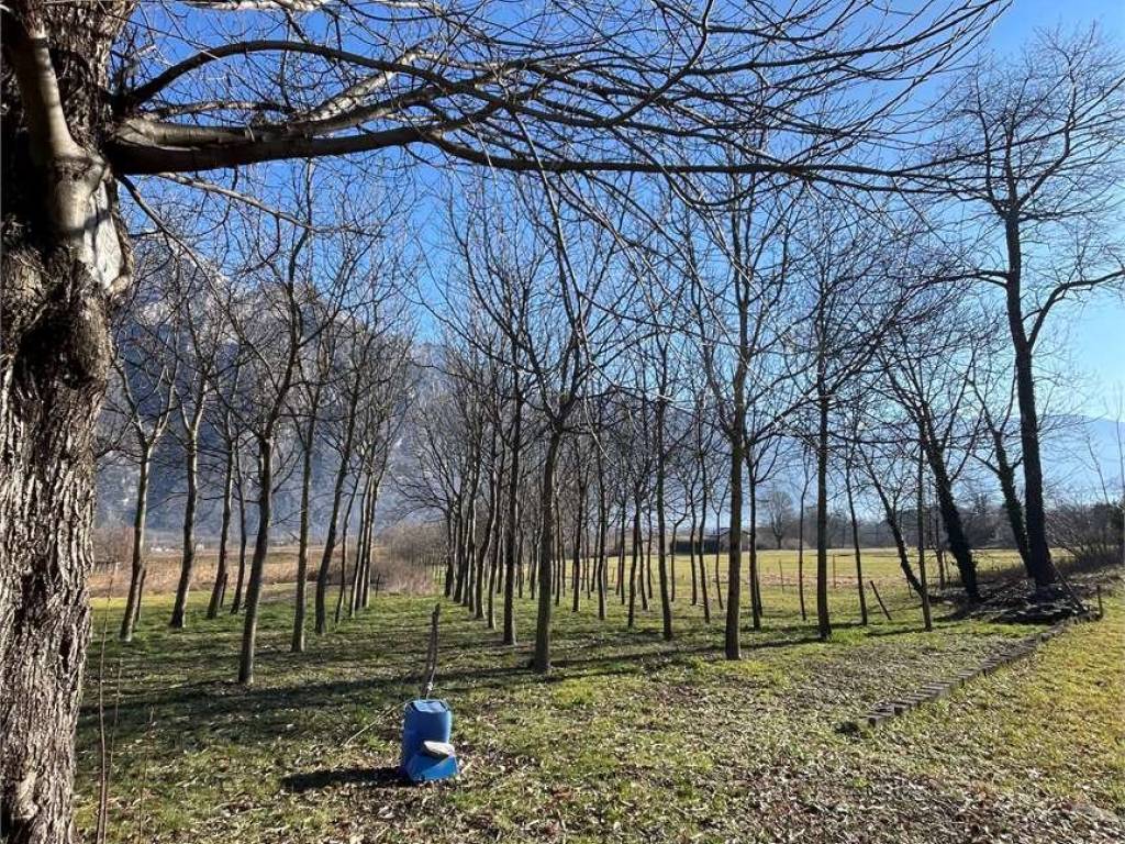Terreno agricolo san pietro, san pietro, samolaco
