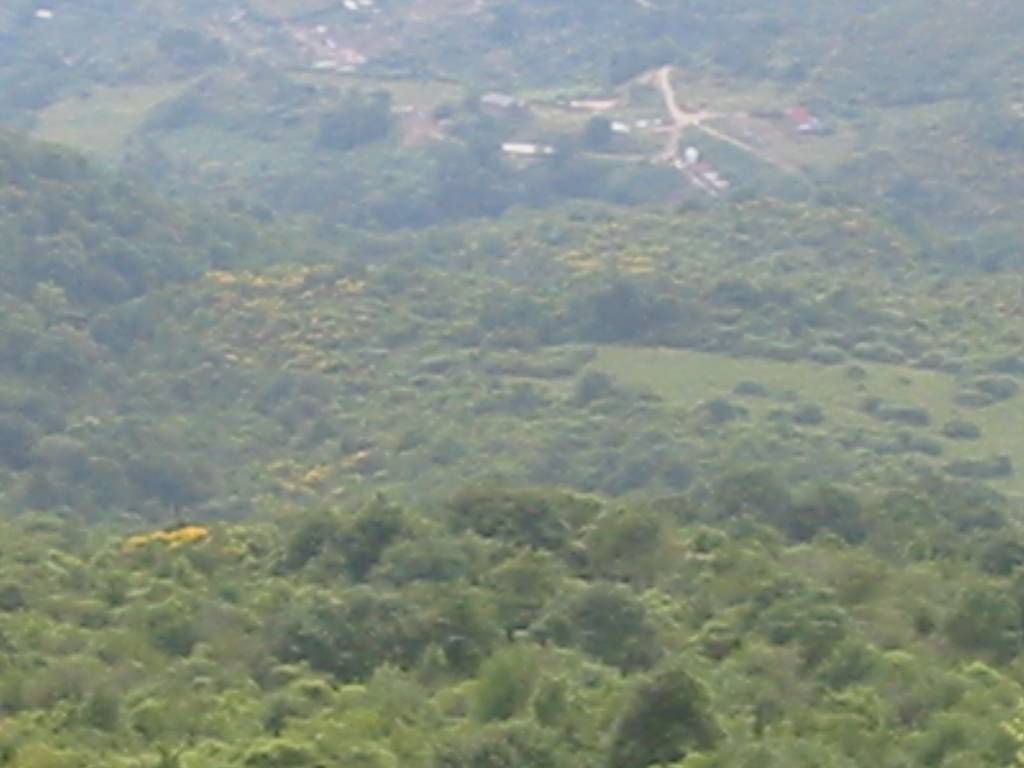 Terreno agricolo strada provinciale capranica guadagnolo, poli