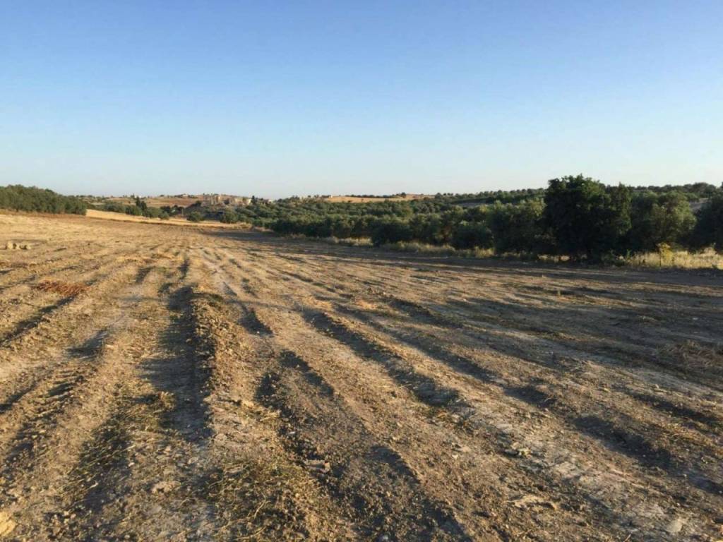 Terreno agricolo provinciale 56, noto