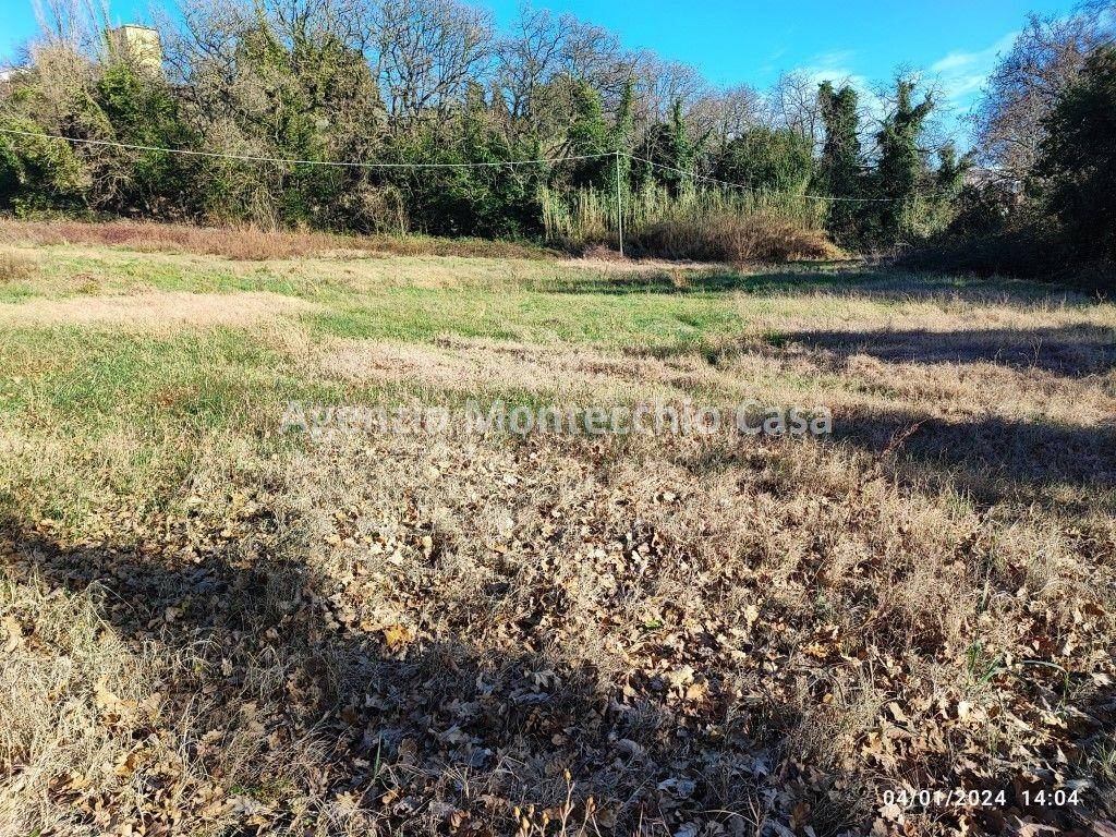 il terreno agricolo