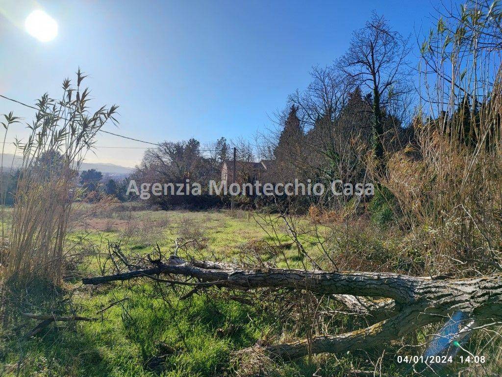 il terreno agricolo