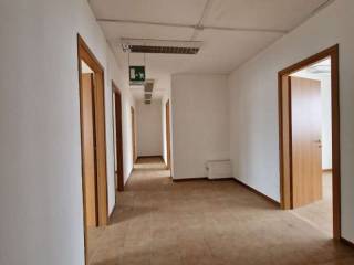 whatsapp image 2023-12-29 at 08.36.38