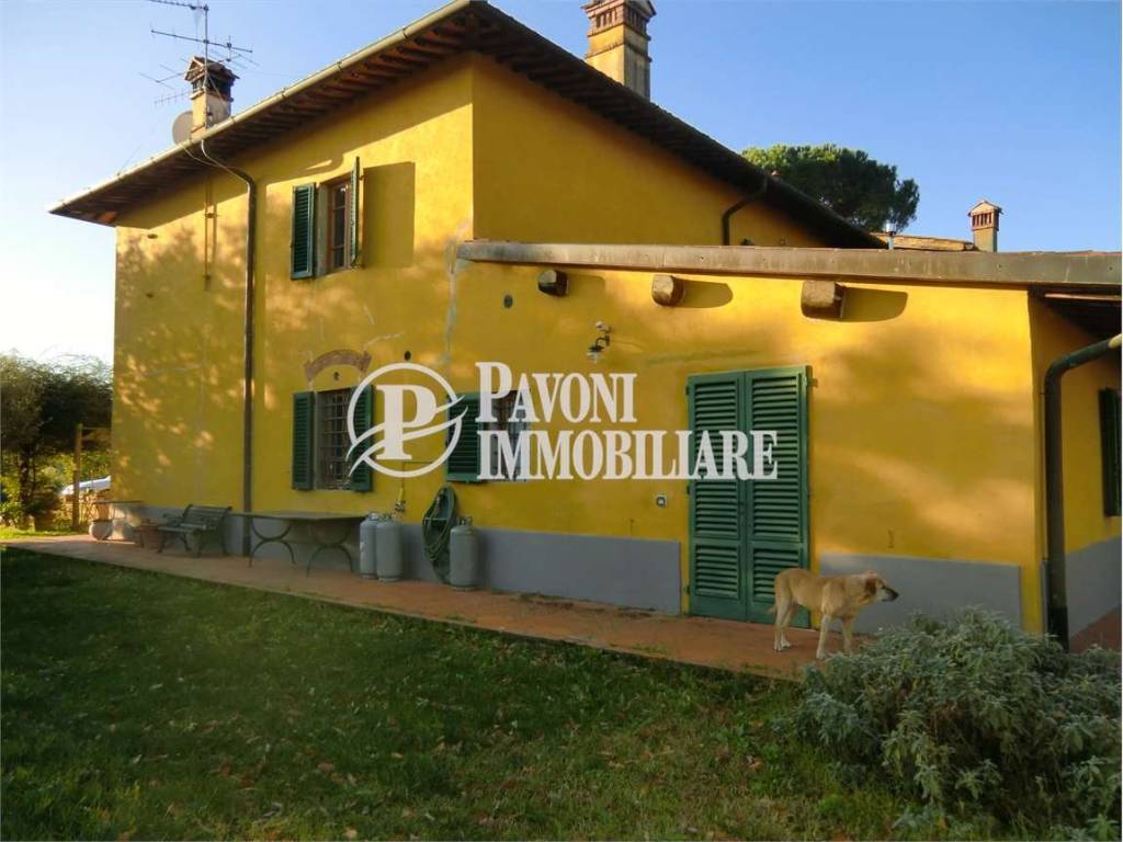 imm_2813-20200114190812-1151-_pavonimmobiliare-nuovo_png_mc.jpg