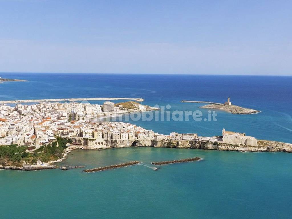 veduta di vieste dall'alto