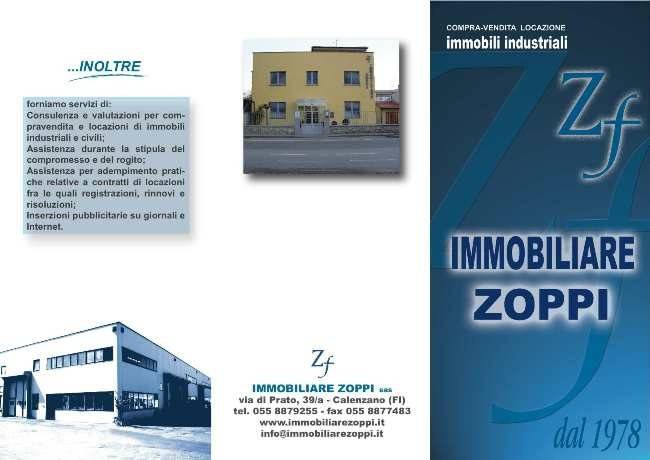 Immobiliarezoppi1_65a8e54d2b424.jpg