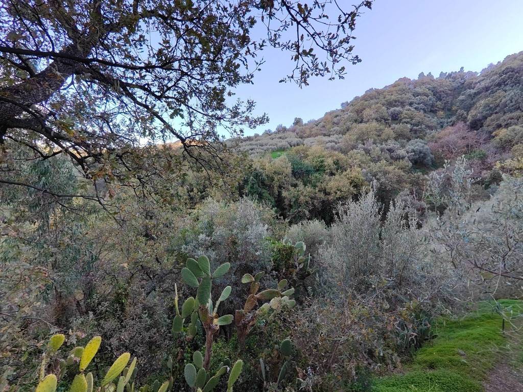 Terreno agricolo, barcellona pozzo di gotto