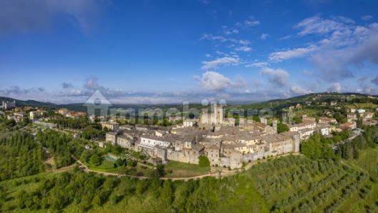 Castellina paese drone