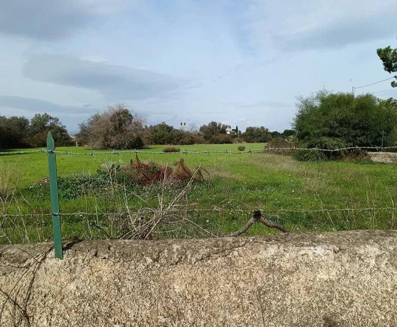 terreno agricolo