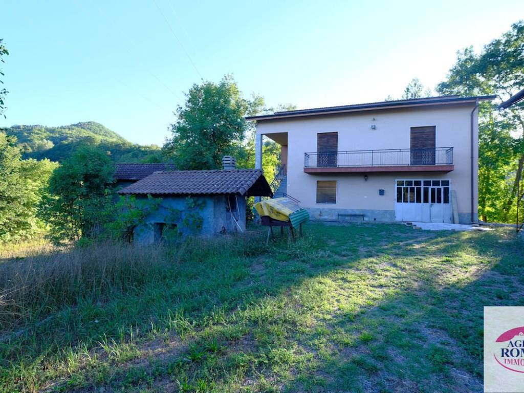 Rif 1176(Copy15).jpg