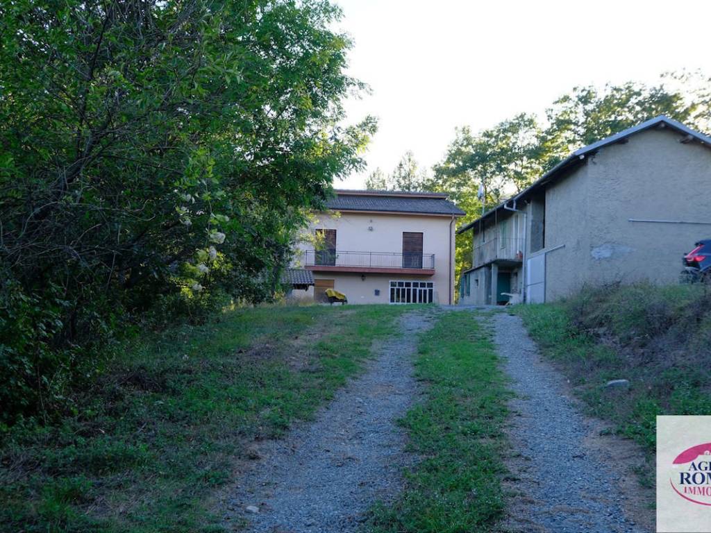 Rif 1176(Copy25).jpg