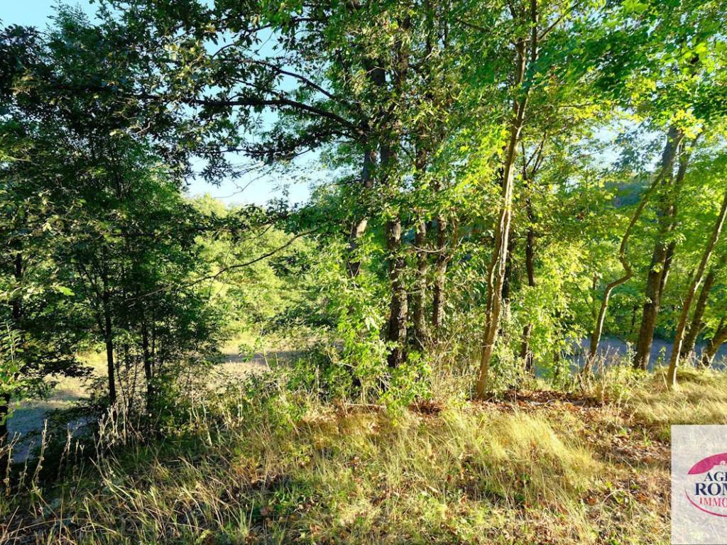 Rif 1176(Copy17).jpg