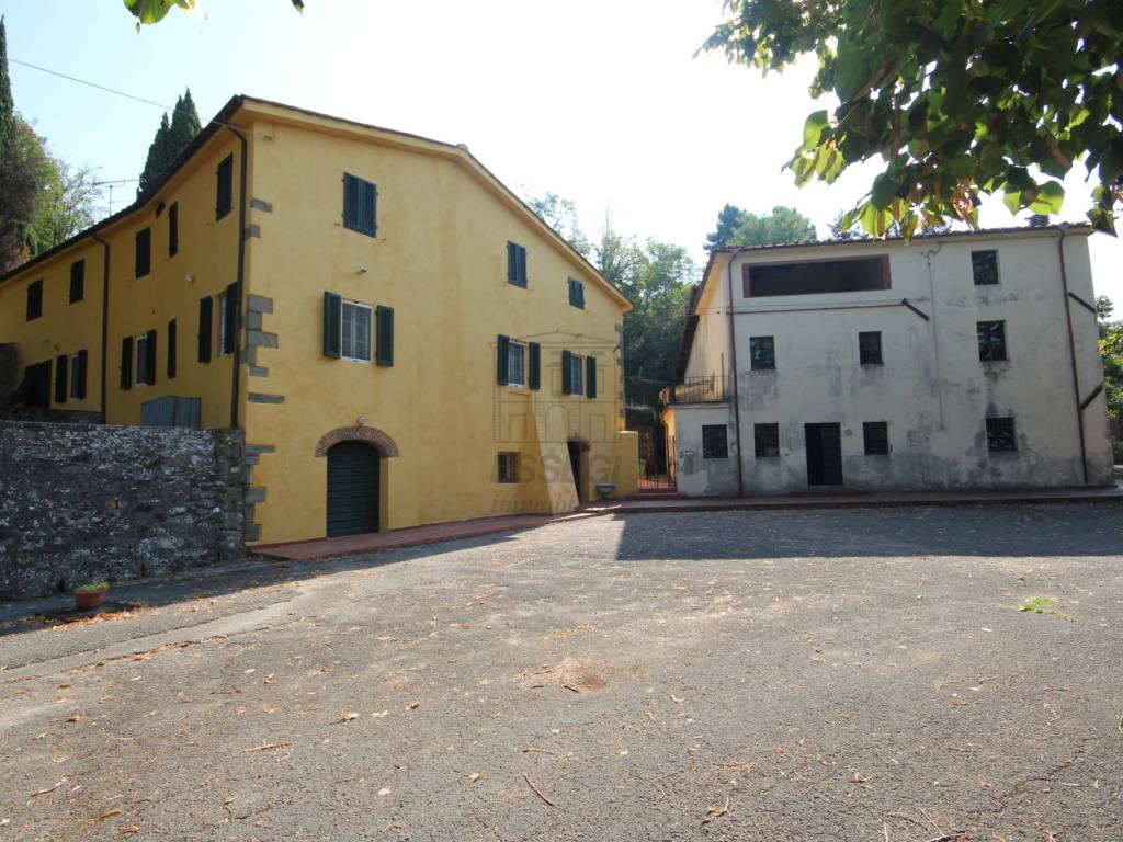 azienda agricola in vendita a lucca (9).JPG