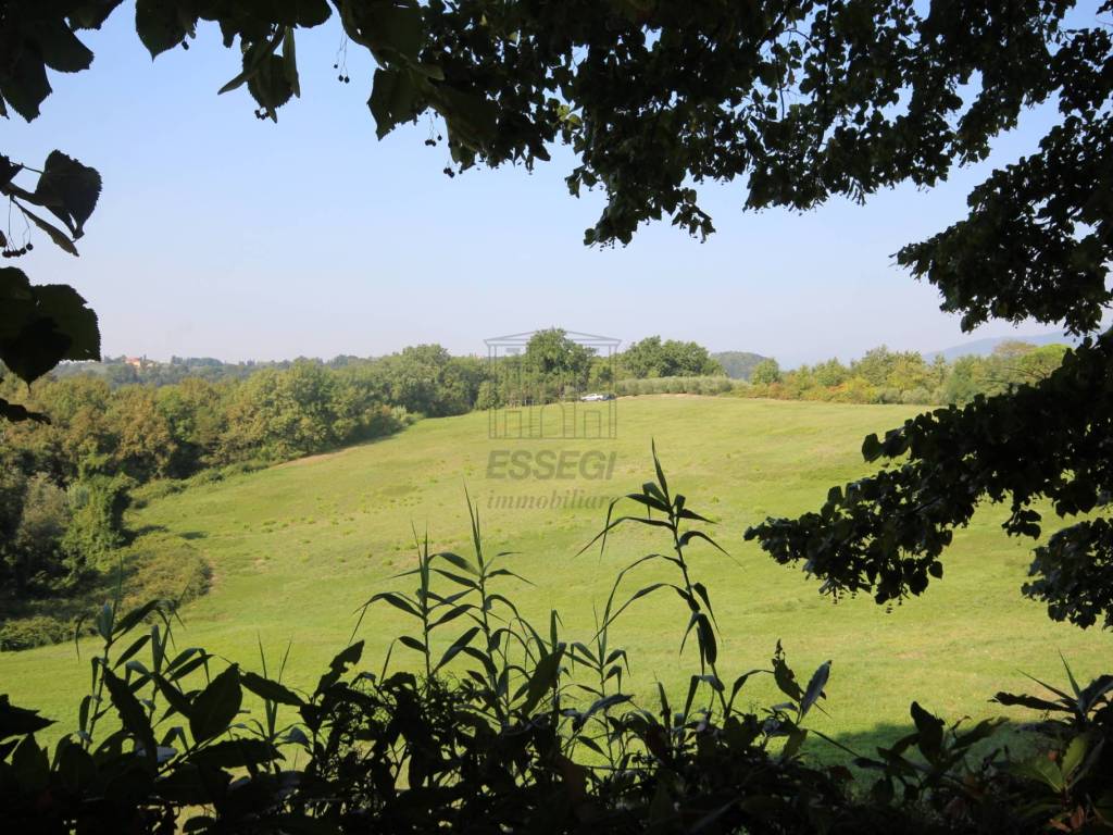 azienda agricola in vendita a lucca (3).JPG