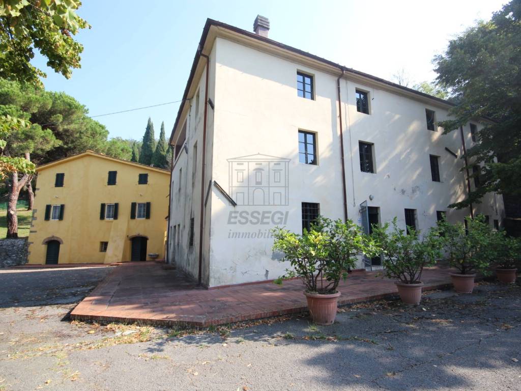 azienda agricola in vendita a lucca (6).JPG