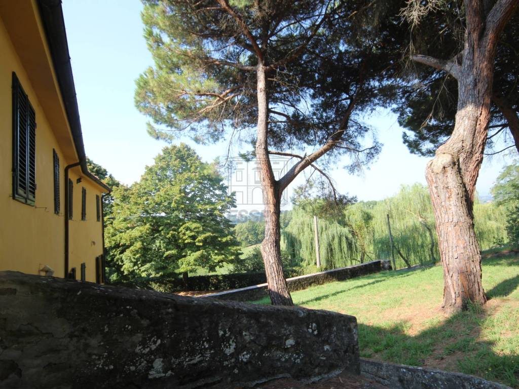 azienda agricola in vendita a lucca (30).JPG