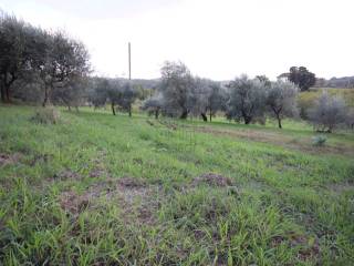 Casolare in pietra , con fienile, collina Lucca (2