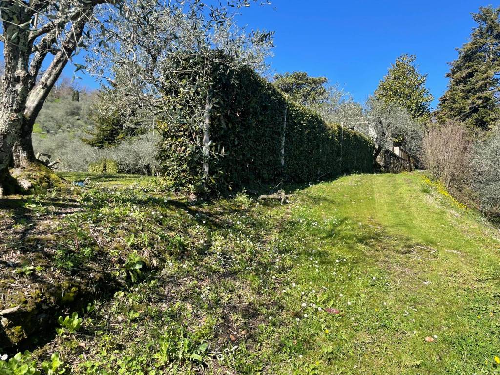 Casa colonica in zona collinare con piscina (49).j