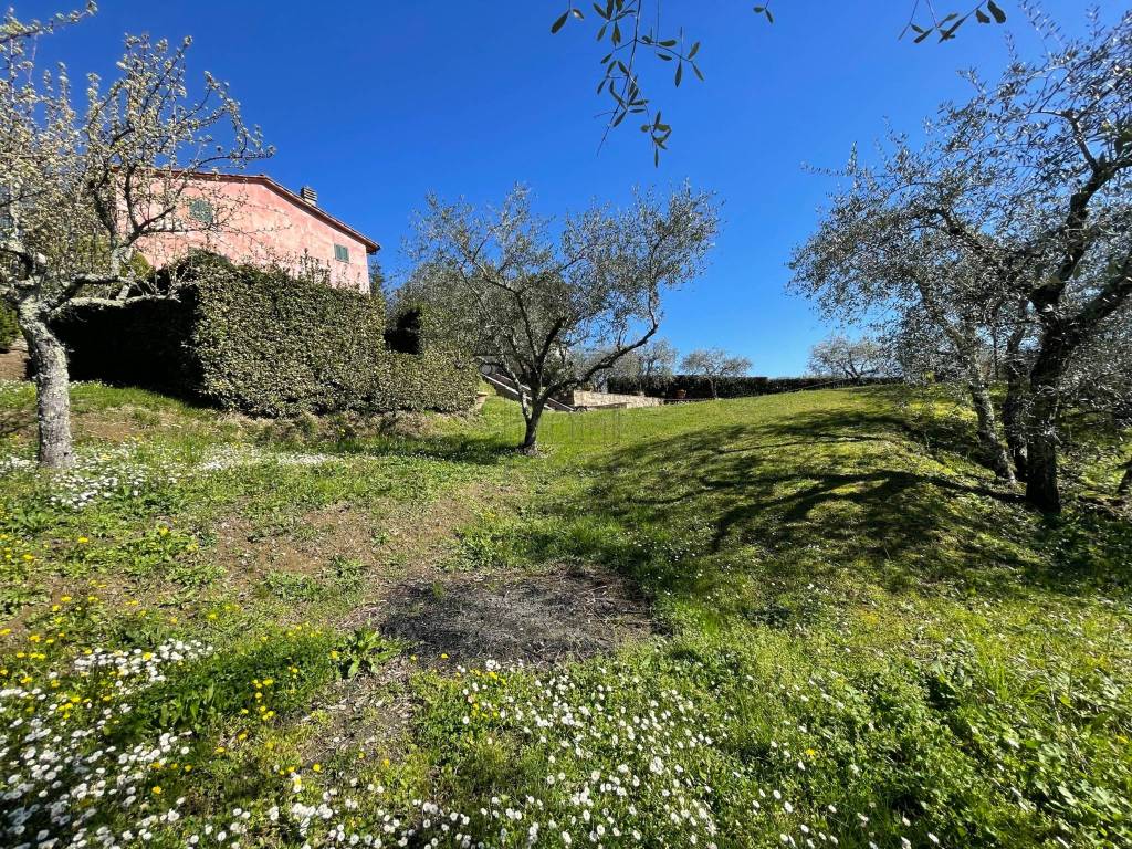 Casa colonica in zona collinare con piscina (53).j