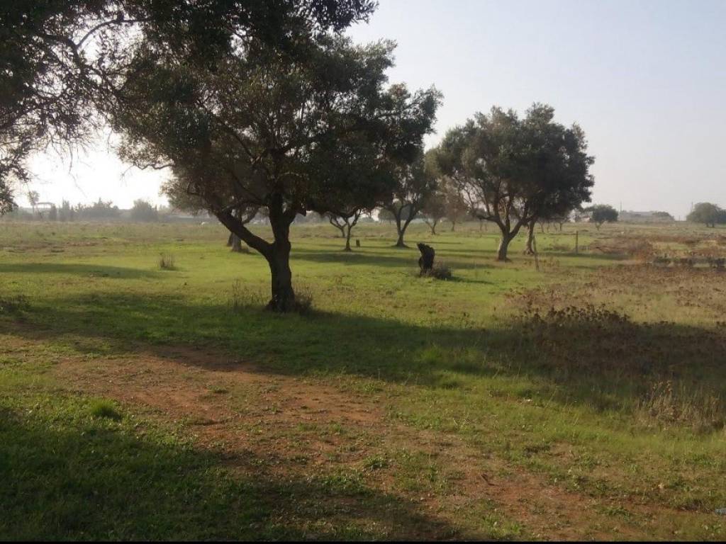 Terreno edificabile via cursi 18, torre lapillo, porto cesareo