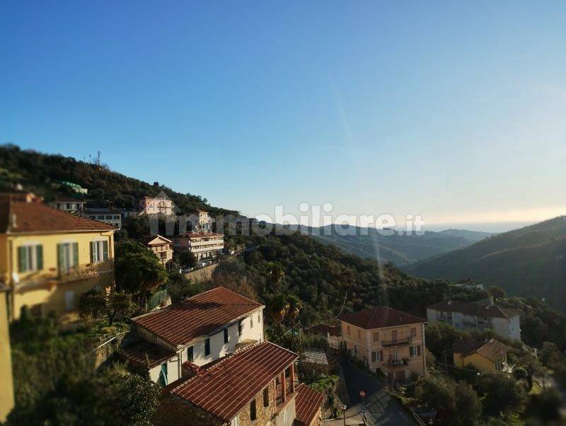 Vista panoramica sul paese e vallata