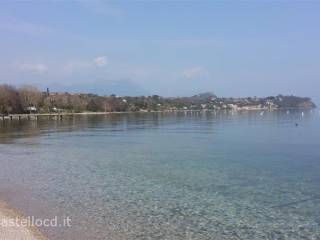 Zona