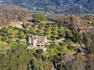 PANORAMA COLLINE