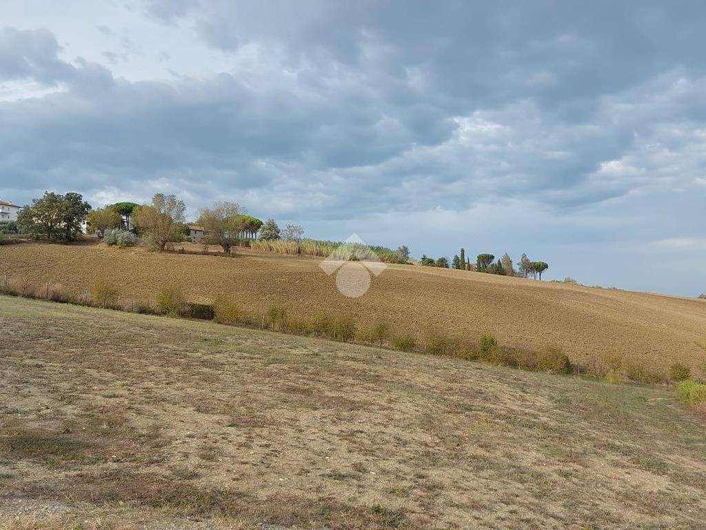 terreno a servizi