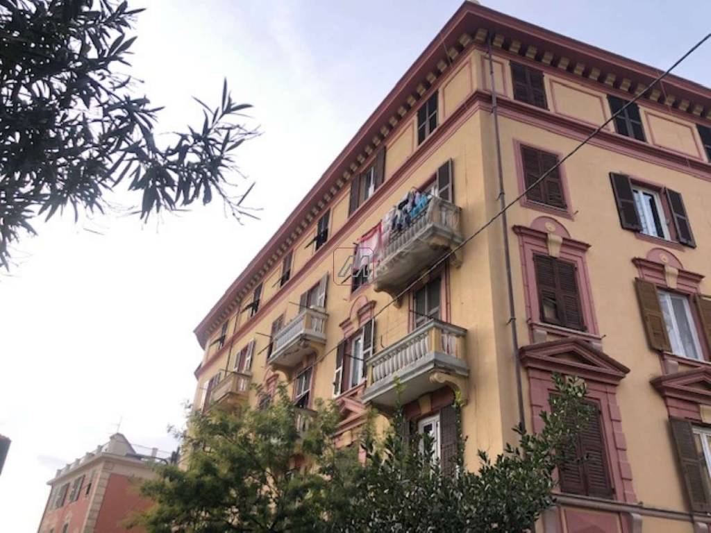 22palazzo2