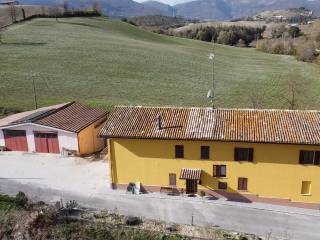 Vista