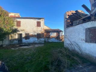 whatsapp image 2024 01 22 at 10 52 33  11