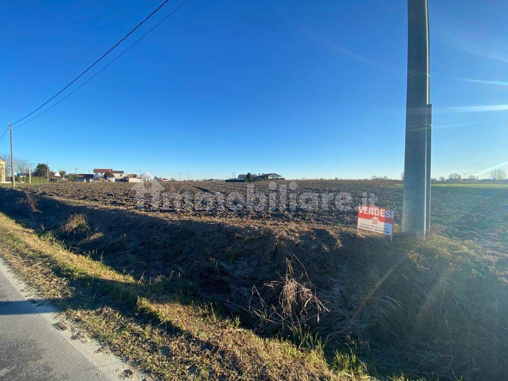 whatsapp image 2024 01 22 at 10 52 33  15