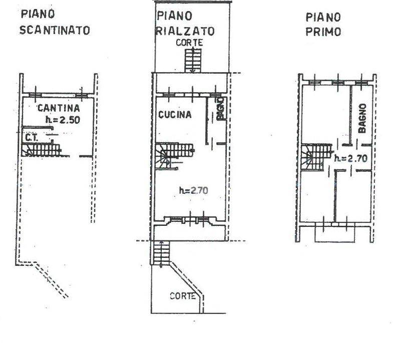 piantina cecconelli