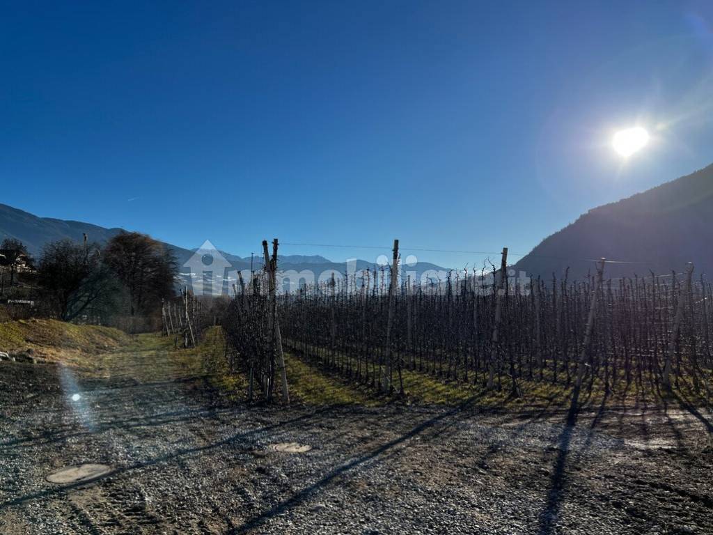 W01: Nuovo appartamento spazioso 4 vani con terrazza e giardino privato in posizione soleggiata - Foto 8