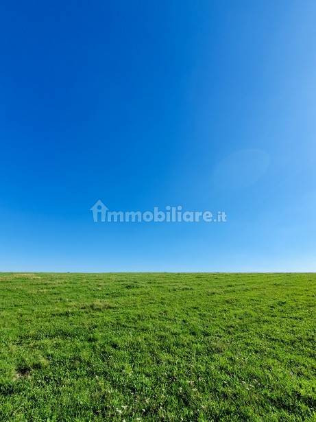 green grass and blue sky 1567765402wll