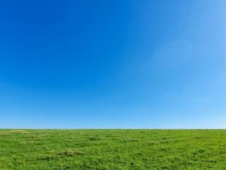 green grass and blue sky 1567765402wll