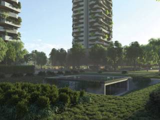 Zairo Urban Forest - Area Urbana