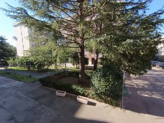 cortile condominiale