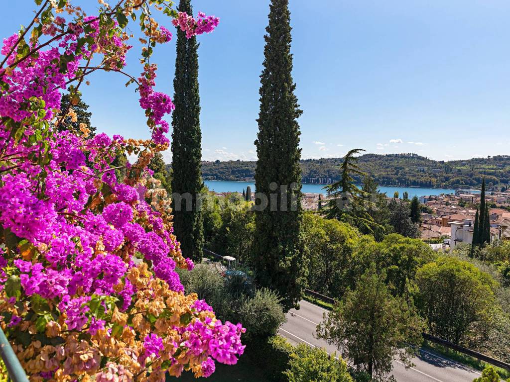 VISTA LAGO DALLA VILLA