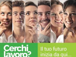 Cerchi lavoro