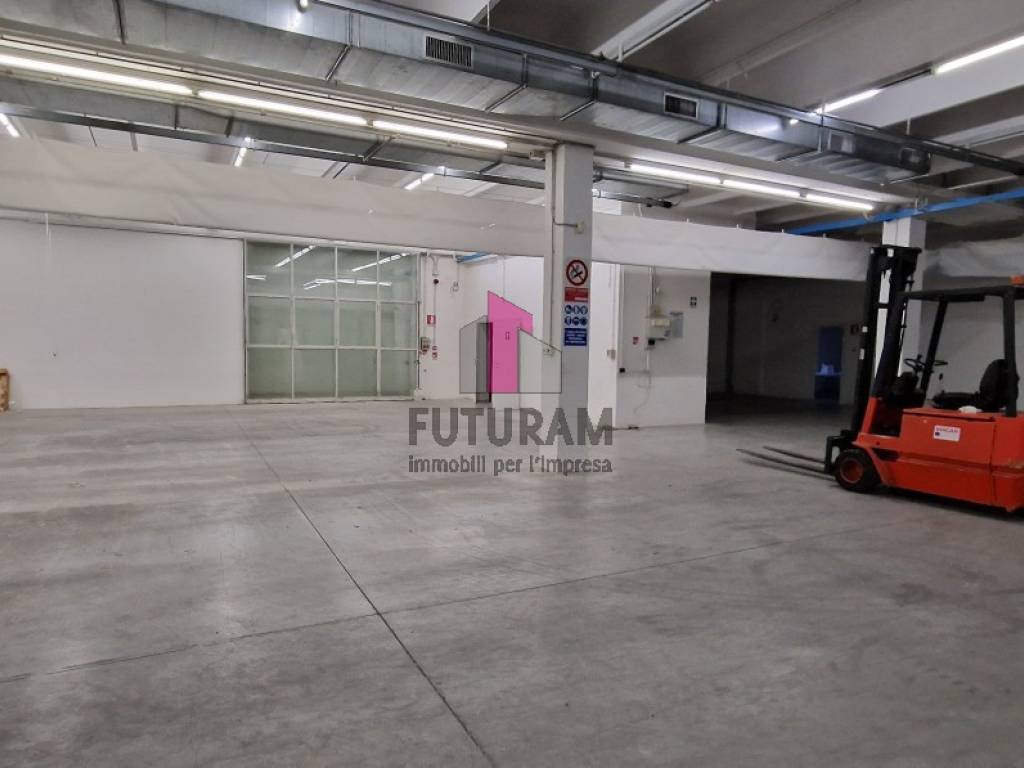 VENDESI CAPANNONE A REDDITO