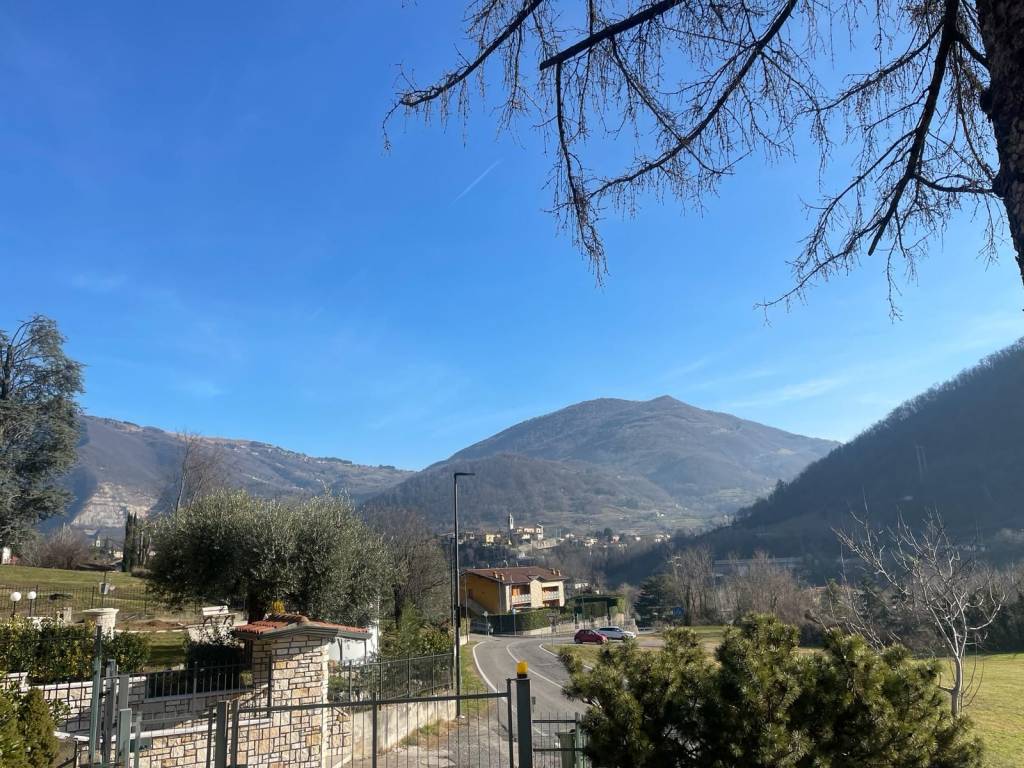 Terreno edificabile via luzzana, borgo di terzo