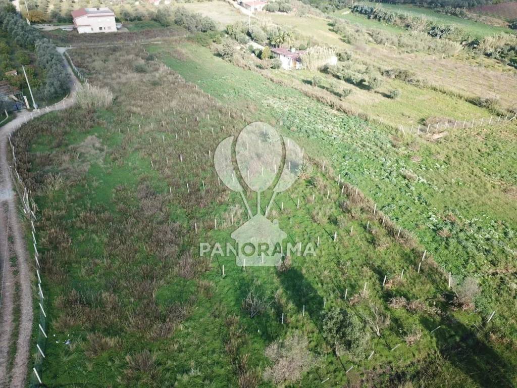 Terreno agricolo contrada cicala, partinico