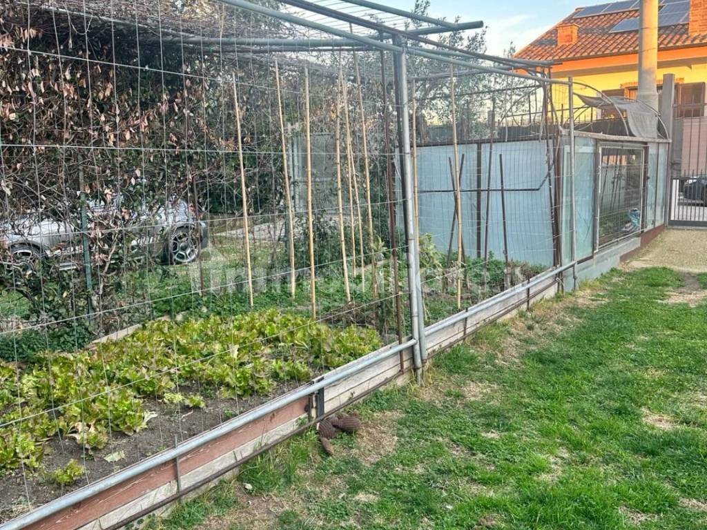 DETTAGLI GIARDINO/ANGOLO ORTO