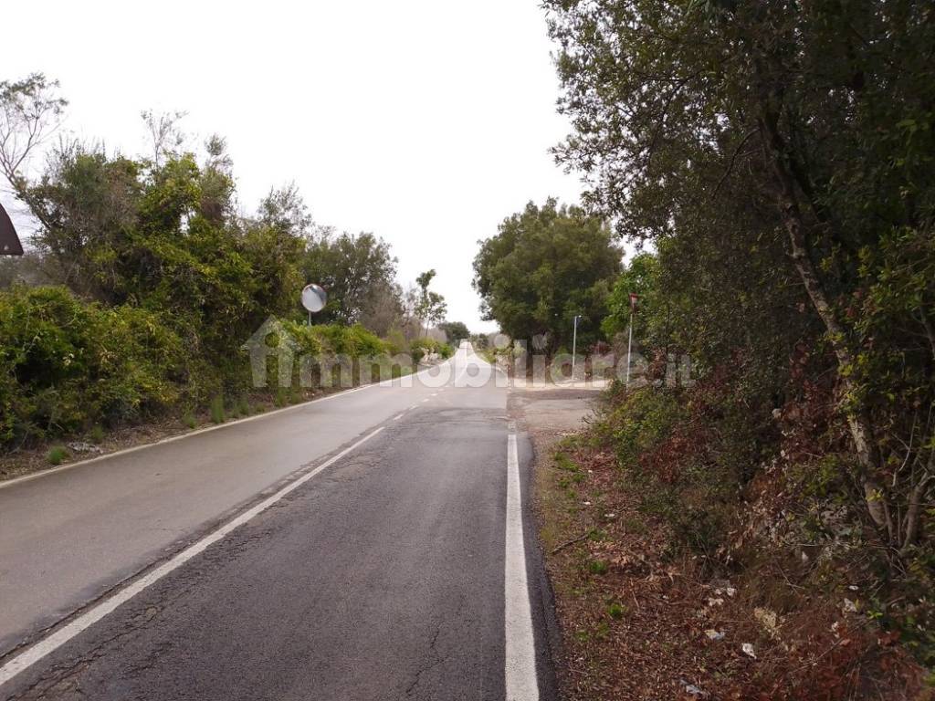 strada provinciale