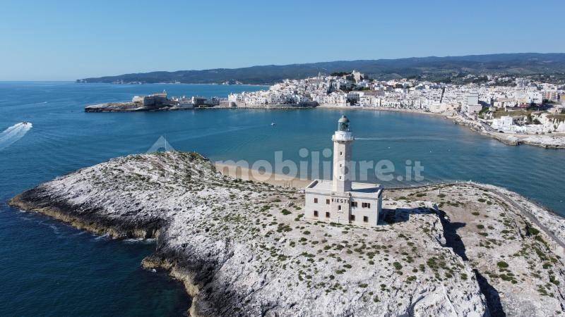 faro di vieste