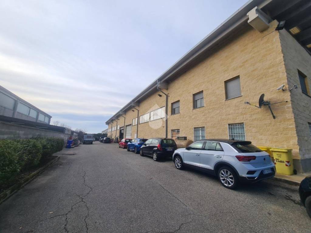 Capannone via dell'industria 19, grosso