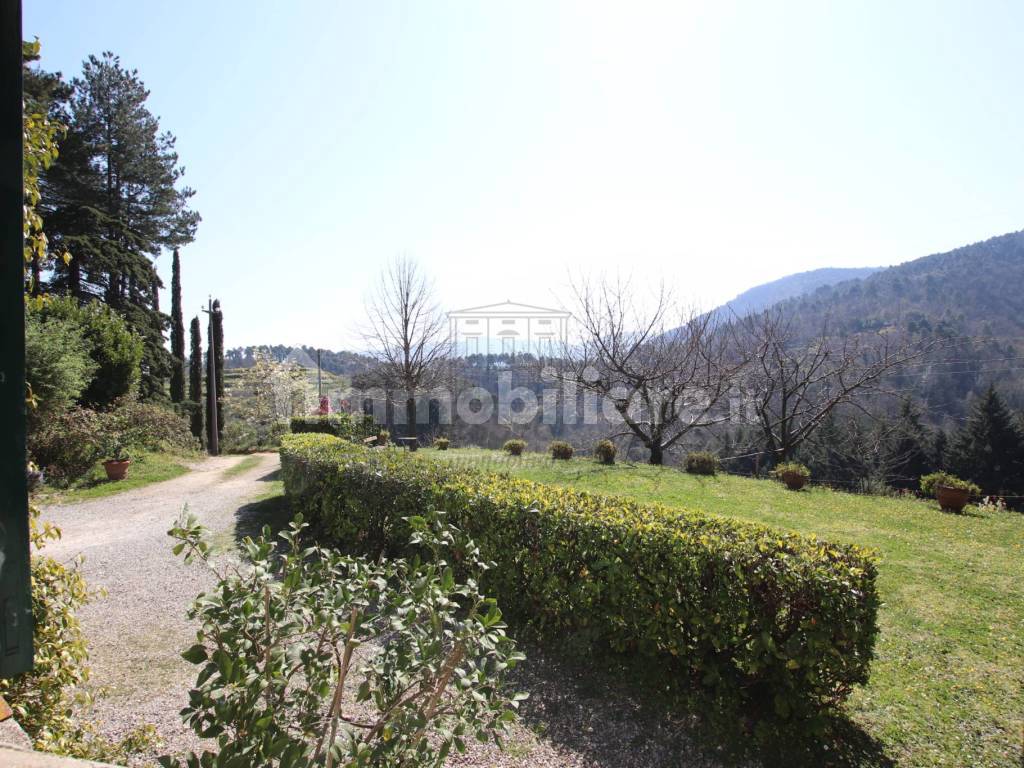 vendesi villa colline sud lucca vista panoramicaIM