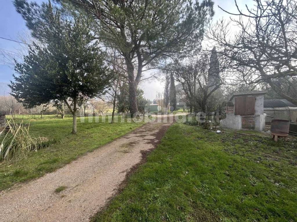 Terreno